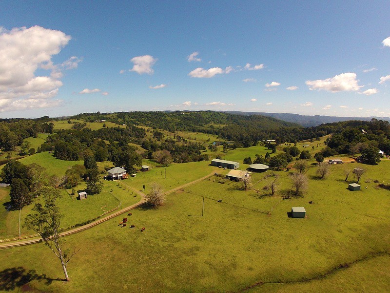 Maleny QLD 4552