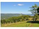 Maleny QLD 4552