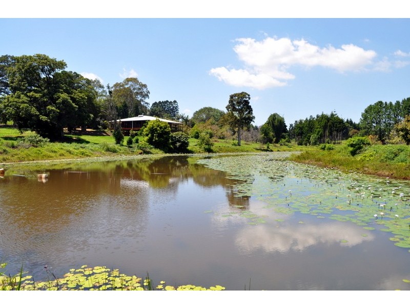 207 Witta Road, Witta QLD 4552