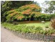 Maleny QLD 4552
