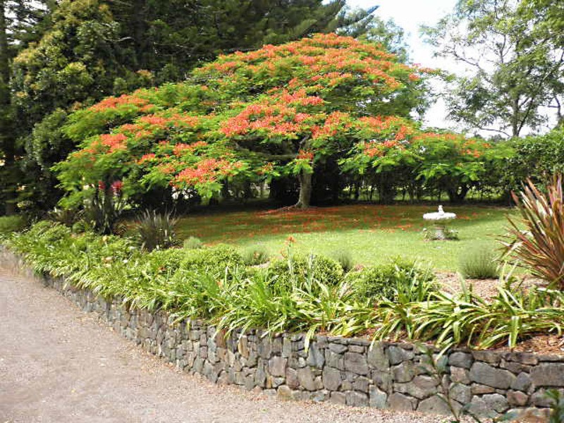 Maleny QLD 4552