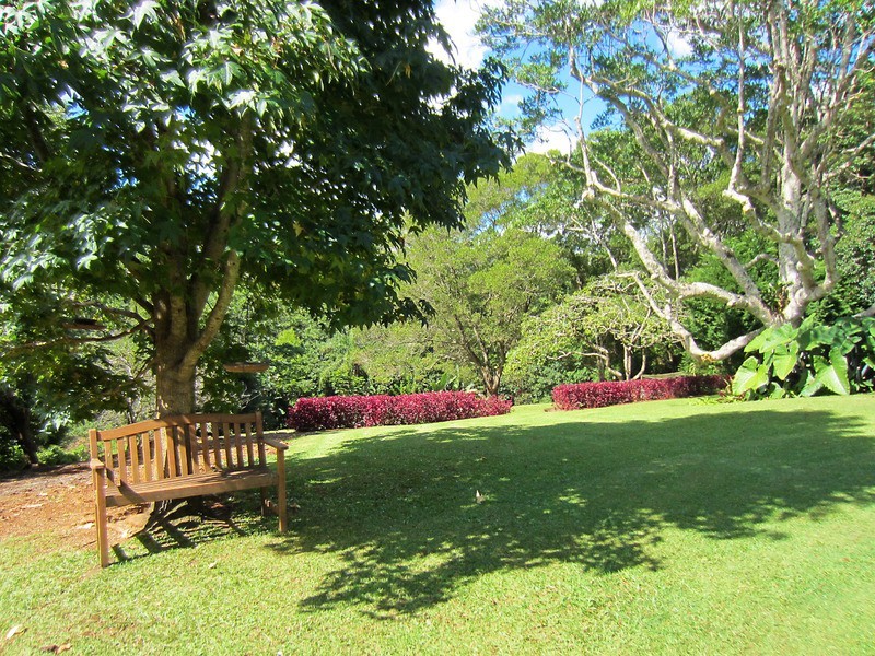 Maleny QLD 4552