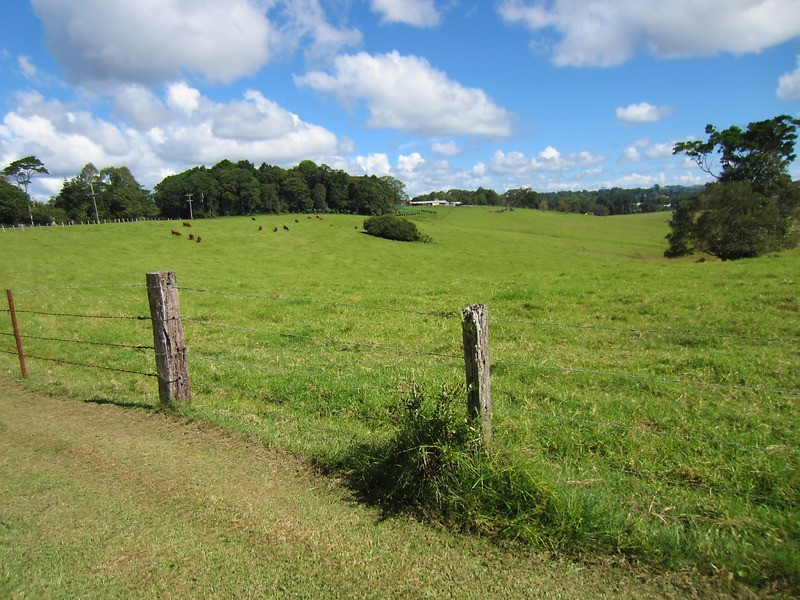 Maleny QLD 4552