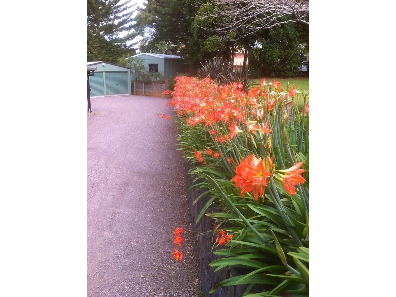 Maleny QLD 4552