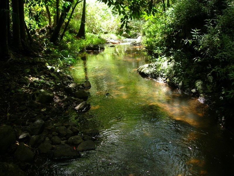 43 Cumner Lane, Maleny QLD 4552