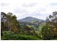 43 Cumner Lane, Maleny QLD 4552