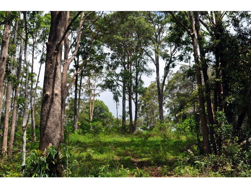 43 Cumner Lane, Maleny QLD 4552