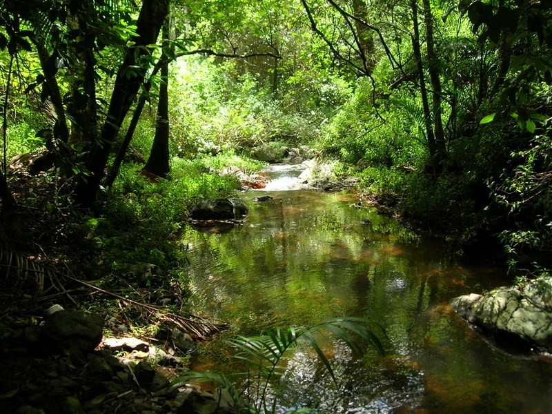 43 Cumner Lane, Maleny QLD 4552