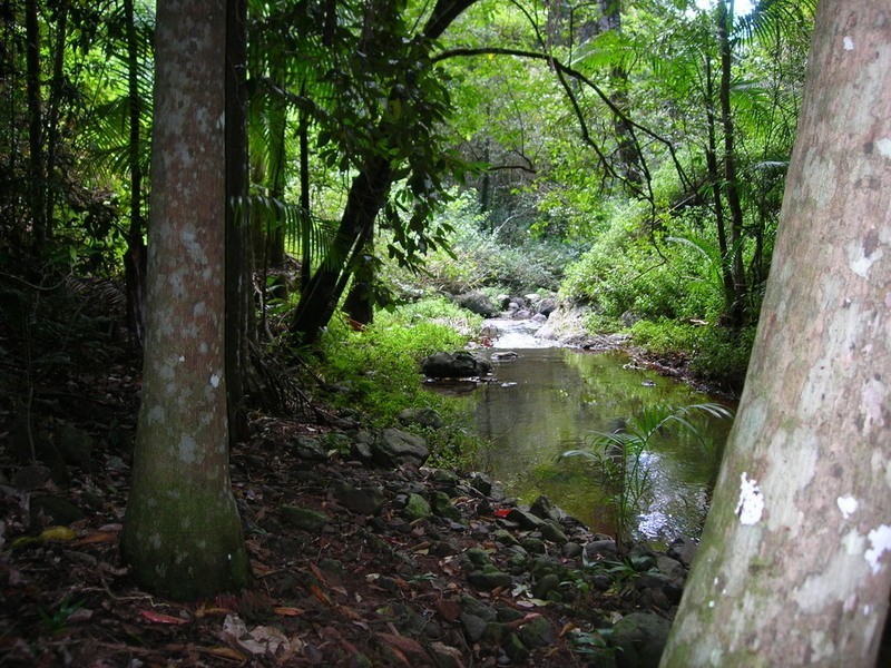 43 Cumner Lane, Maleny QLD 4552