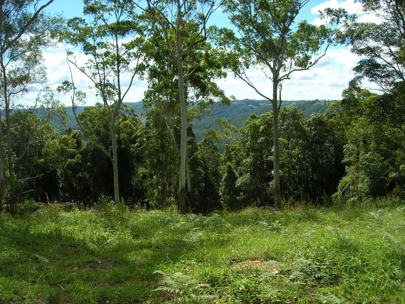 43 Cumner Lane, Maleny QLD 4552