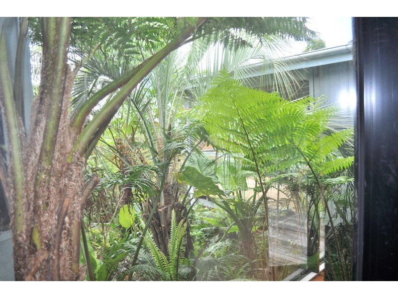 188 Reesville Road, Maleny QLD 4552