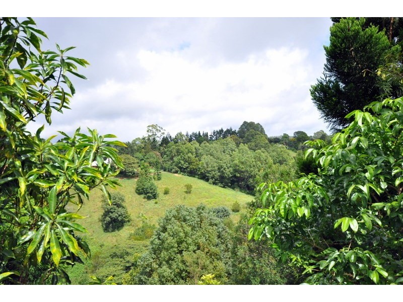 188 Reesville Road, Maleny QLD 4552