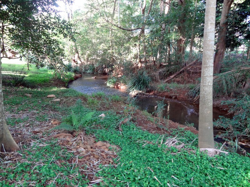 53 McCarthy Road, Maleny QLD 4552