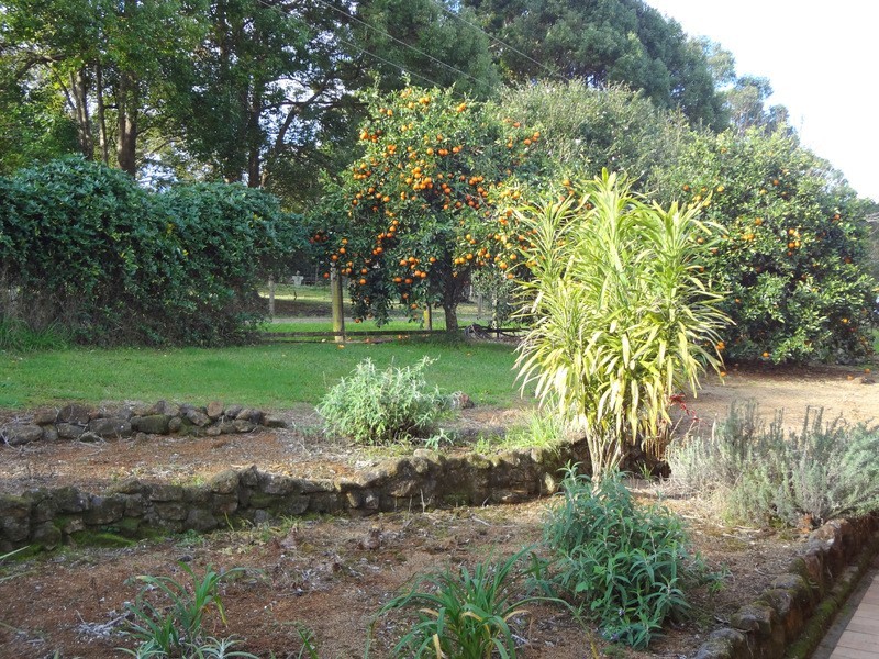 53 McCarthy Road, Maleny QLD 4552