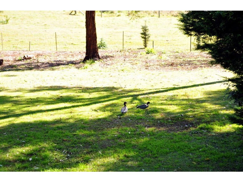974 Kidaman Creek Road, Maleny QLD 4552