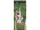 566 Mountain View Road, Maleny QLD 4552