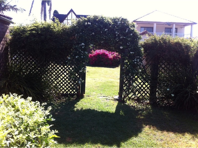 53 Earlwood Ave, Earlwood NSW 2206