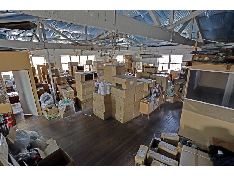 15 Carrington Rd, Marrickville NSW 2204