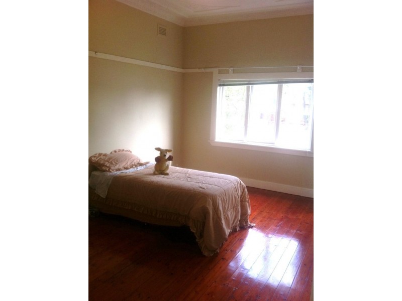 11 Downey St, Bexley NSW 2207