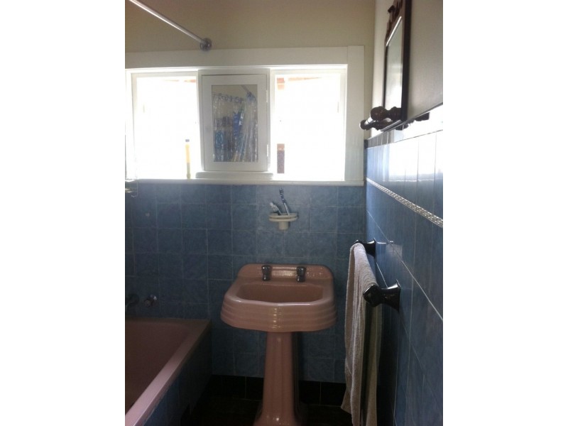 11 Downey St, Bexley NSW 2207