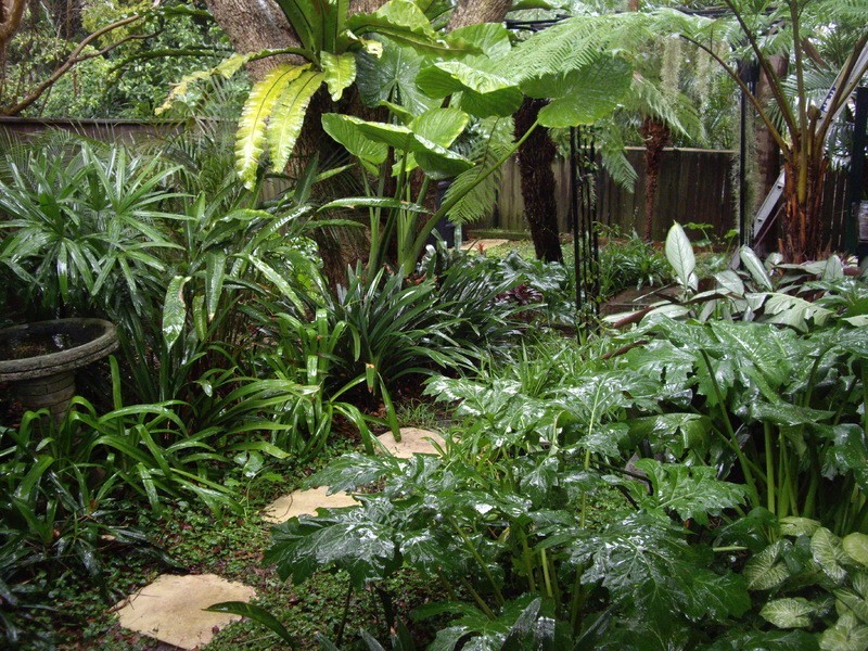 3/16 Wisdom Rd, Greenwich NSW 2065