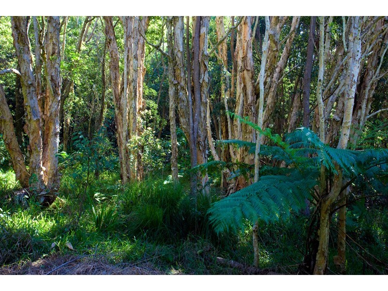 Myocum NSW 2481