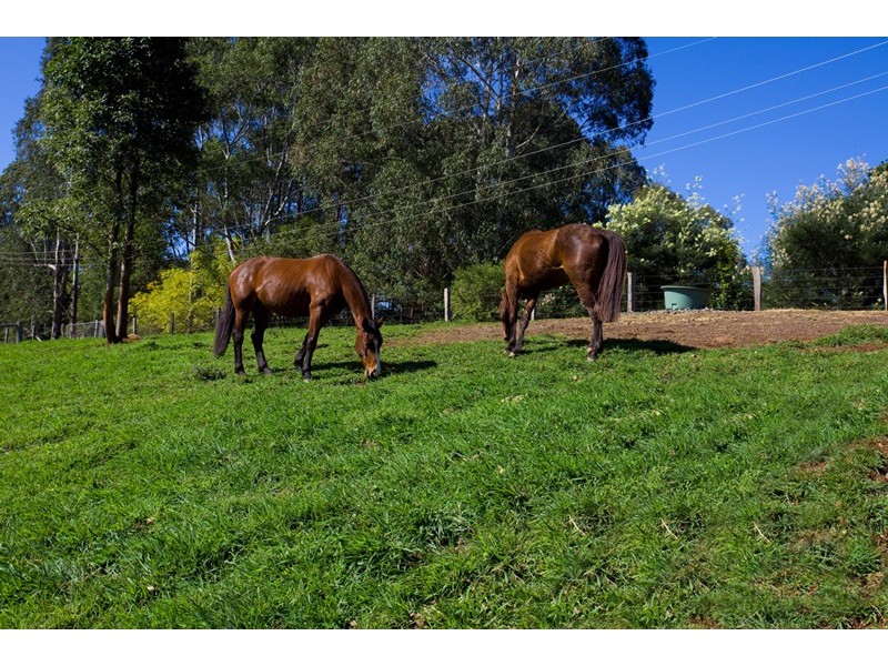 Myocum NSW 2481