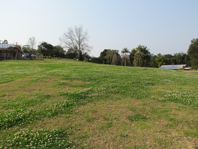 Lots  Green Frog Lane, Bangalow NSW 2479