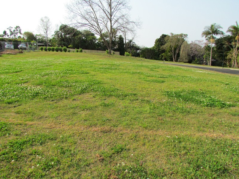 Lots  Green Frog Lane, Bangalow NSW 2479