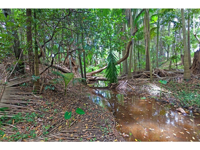 1 Banksia Place, Mullumbimby NSW 2482