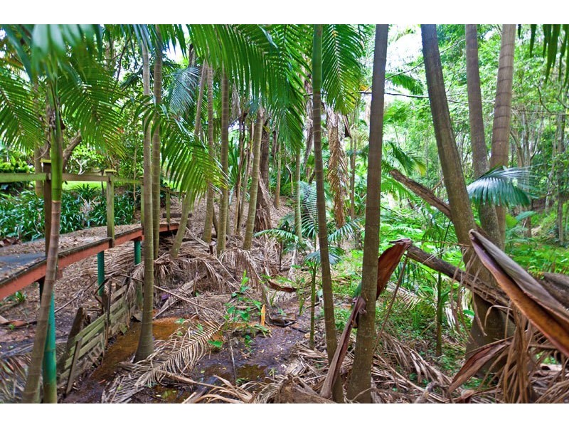 1 Banksia Place, Mullumbimby NSW 2482