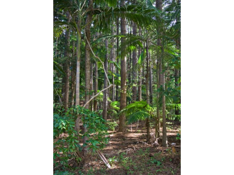Lot 2/246 Wanganui Road, Mullumbimby NSW 2482