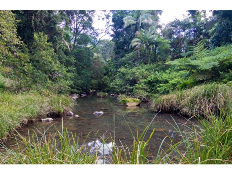 Lot 2/246 Wanganui Road, Mullumbimby NSW 2482