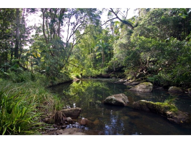 Lot 2/246 Wanganui Road, Mullumbimby NSW 2482