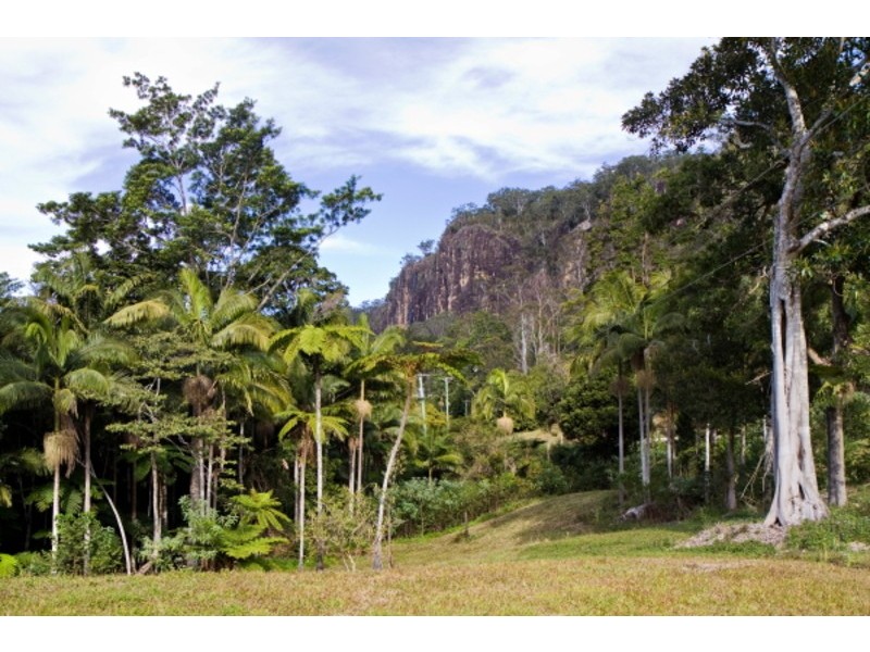 Lot 3/246 Wanganui Road, Mullumbimby NSW 2482
