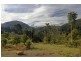Lot 3/246 Wanganui Road, Mullumbimby NSW 2482