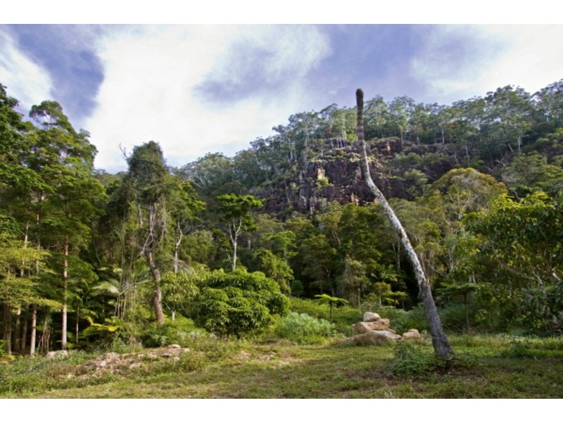 Lot 3/246 Wanganui Road, Mullumbimby NSW 2482