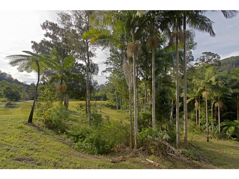 Lot 3/246 Wanganui Road, Mullumbimby NSW 2482