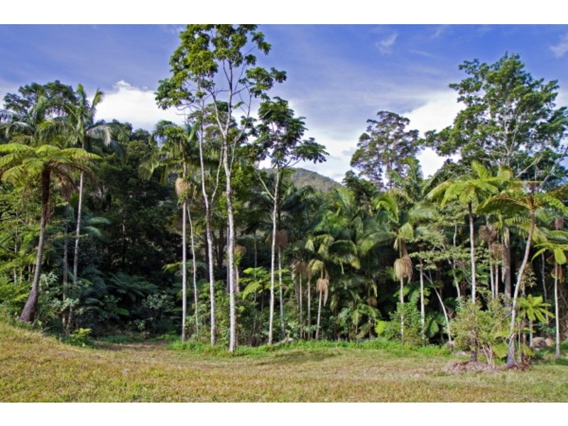 Lot 3/246 Wanganui Road, Mullumbimby NSW 2482
