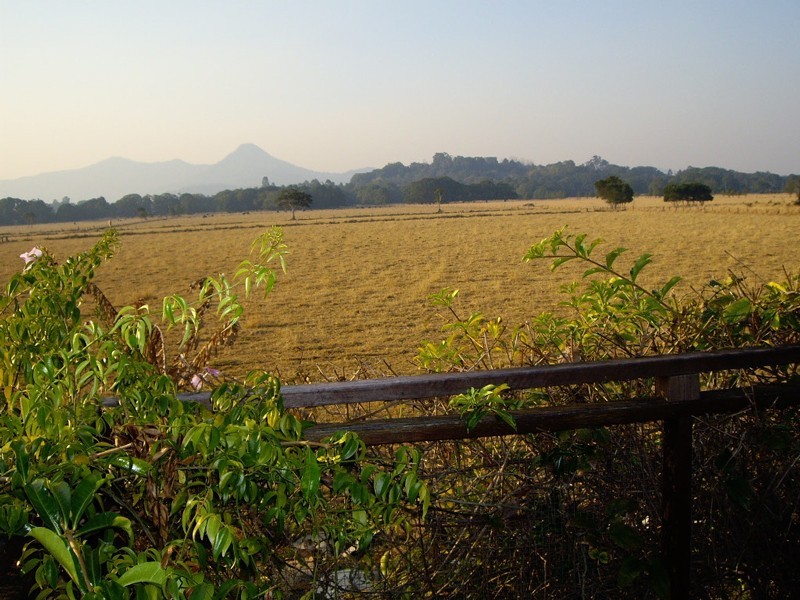 34 Wilsons Creek Road, Mullumbimby NSW 2482