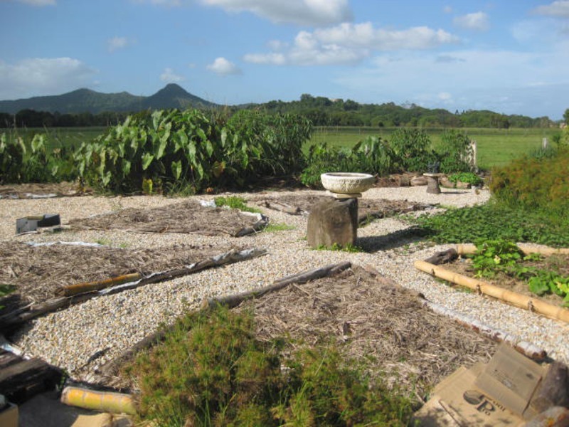 34 Wilsons Creek Road, Mullumbimby NSW 2482