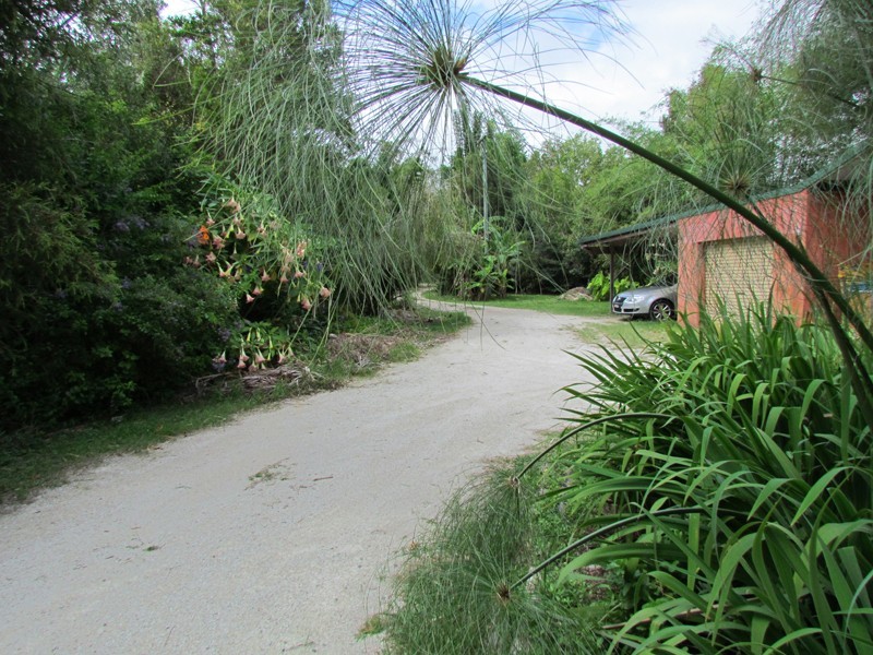 34 Wilsons Creek Road, Mullumbimby NSW 2482