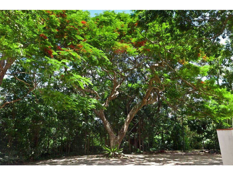 143 Tandys Lane, Brunswick Heads NSW 2483