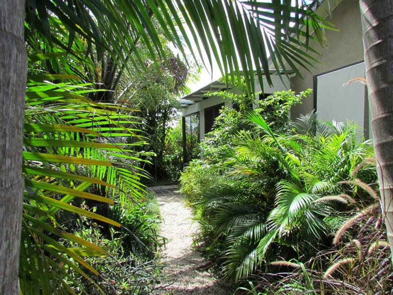 50 Argyle Street, Mullumbimby NSW 2482