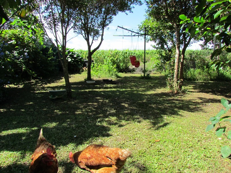 50 Argyle Street, Mullumbimby NSW 2482