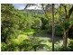 Wilsons Creek NSW 2482
