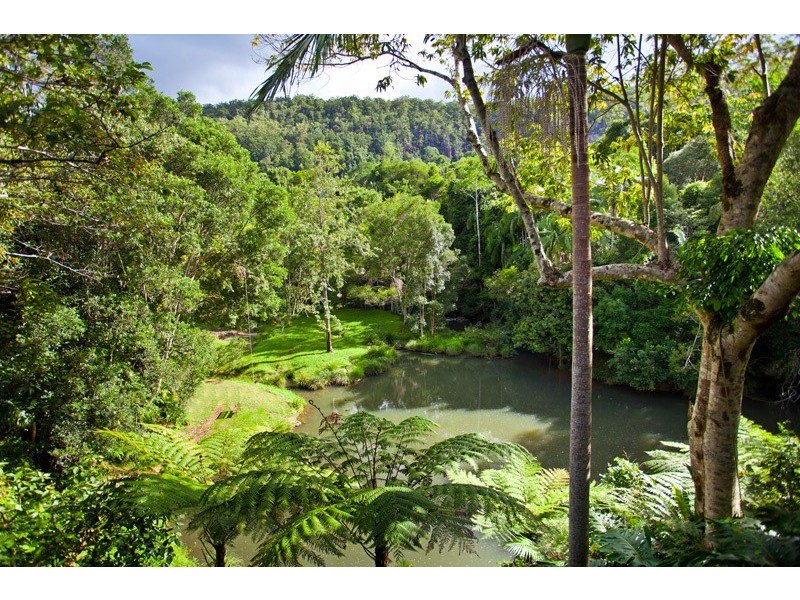 Wilsons Creek NSW 2482