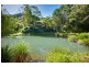 Wilsons Creek NSW 2482
