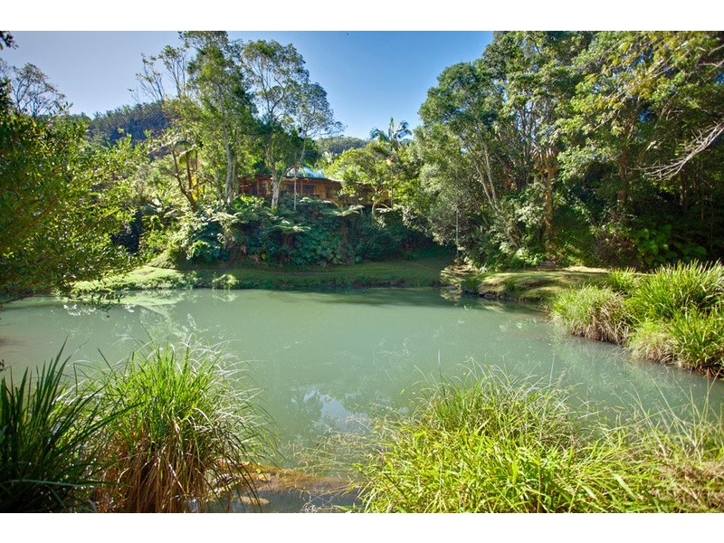 Wilsons Creek NSW 2482