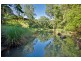 Wilsons Creek NSW 2482